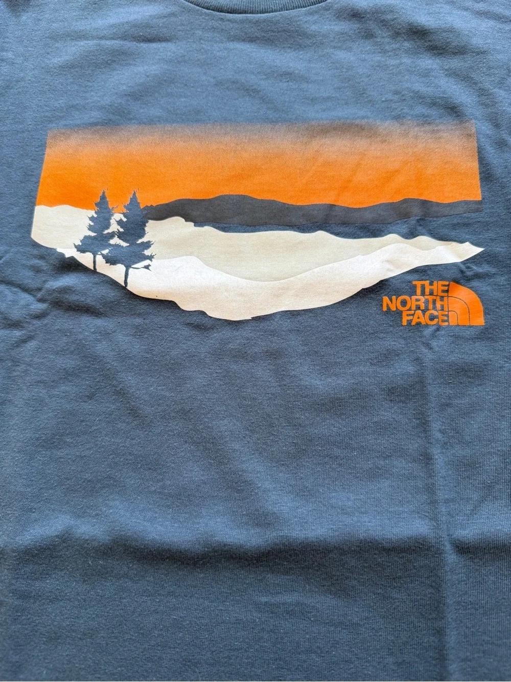 The North Face Mountain Sunset Graphic Tee Blue XL